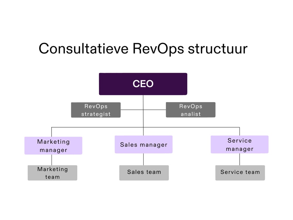 Consultatieve RevOps structuur