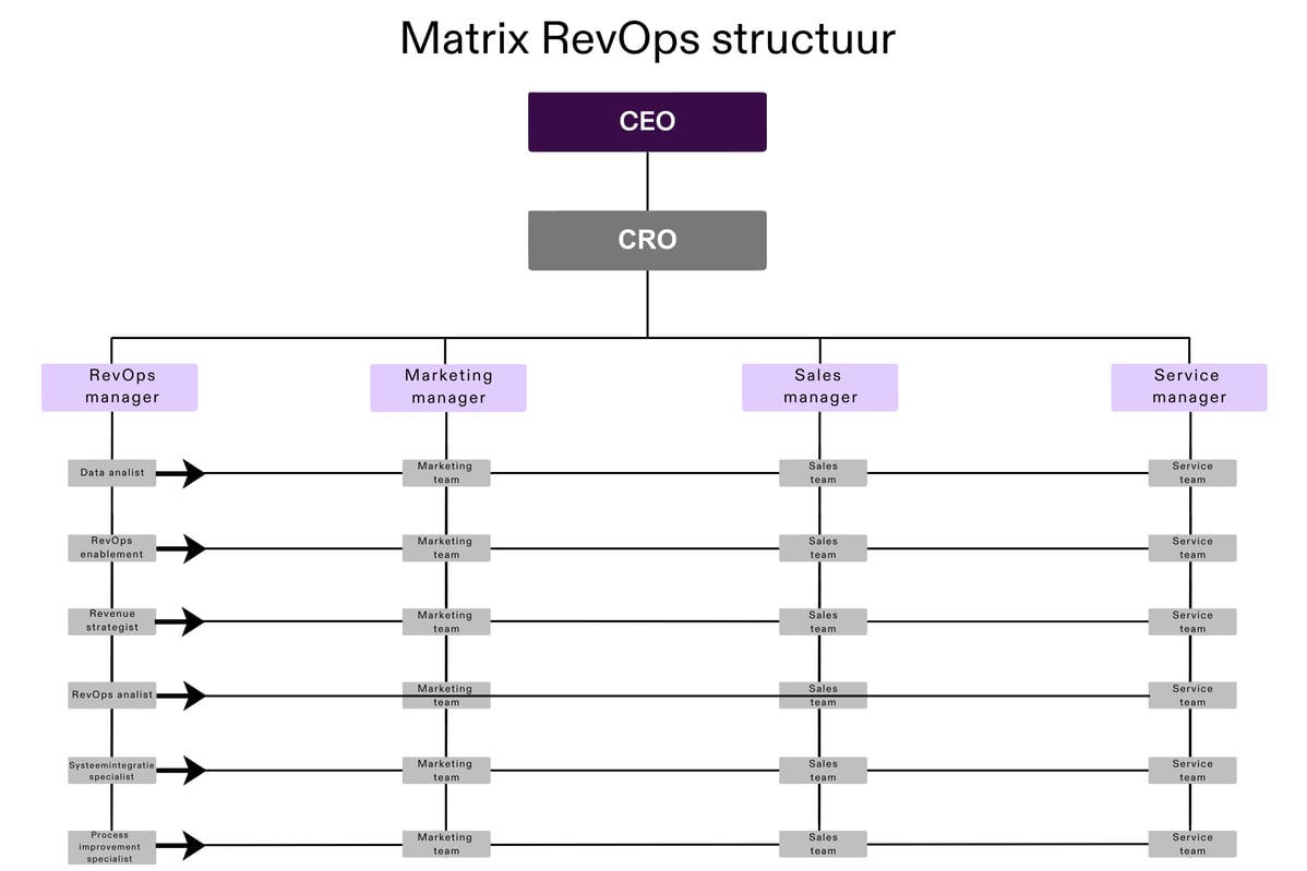 Matrix RevOps structuur
