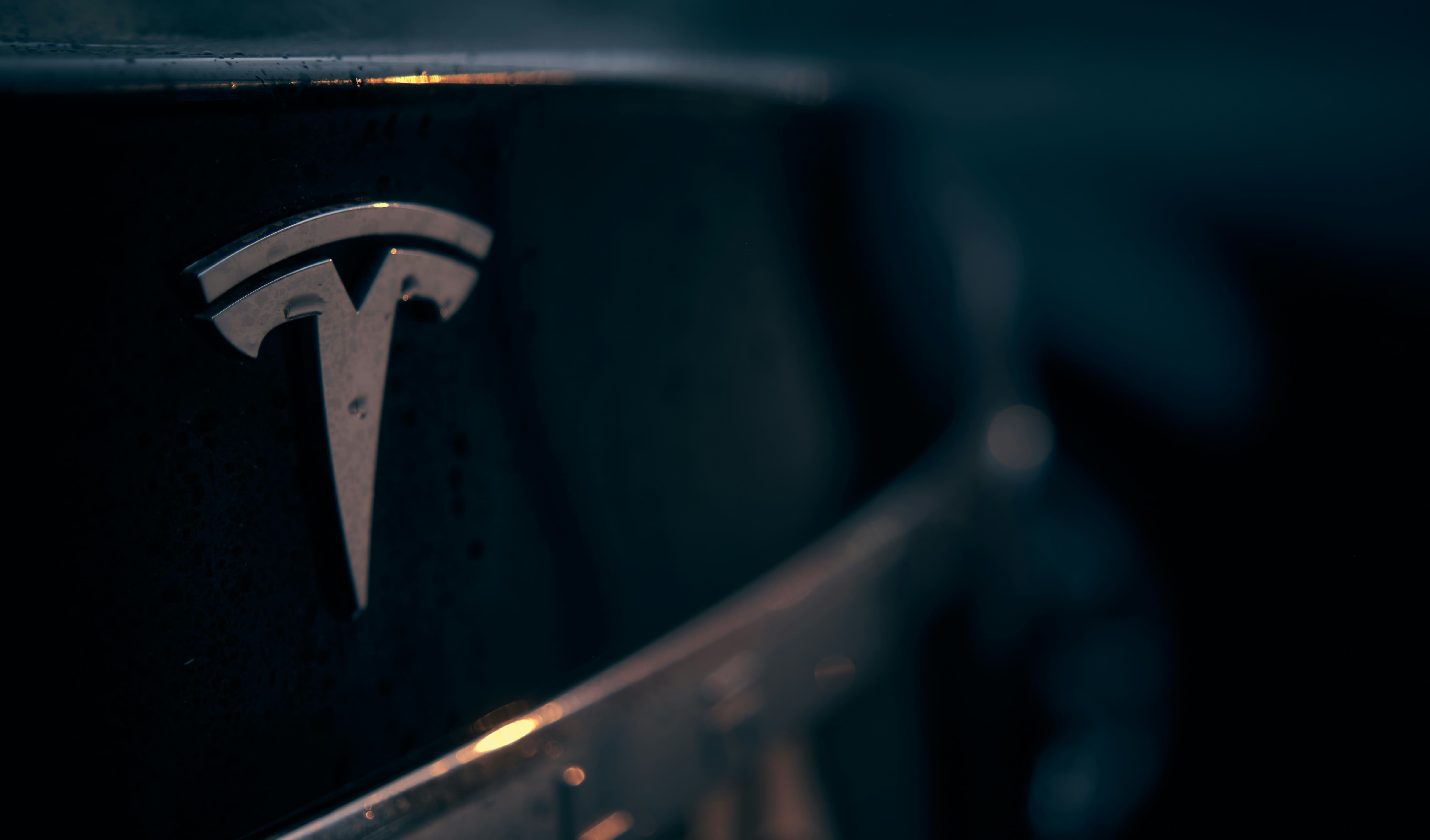 Tesla logo on car