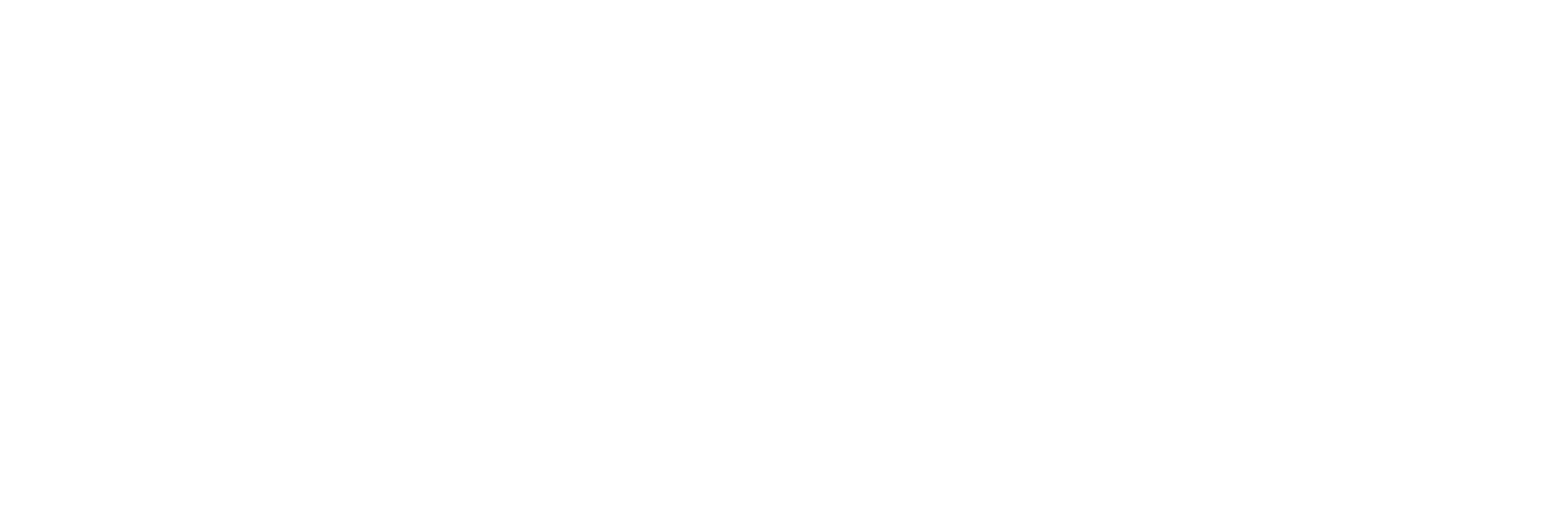 eneve - wordmark - white
